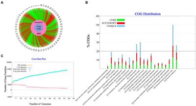 Anti-Vibrio parahaemolyticus compounds from Streptomyces parvus based on Pan-genome and subtractive proteomics